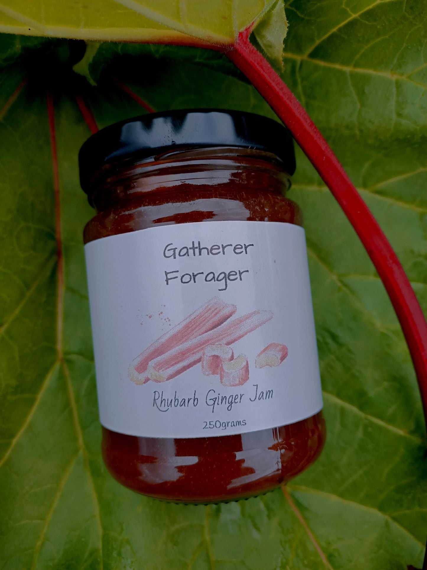 Rhubarb Ginger Jam