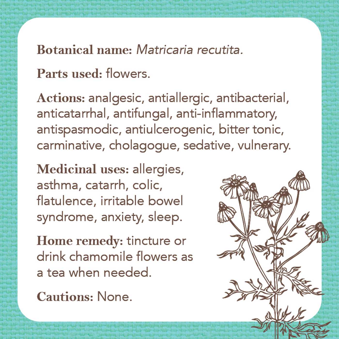 Apothecary Flashcards A Pocket Reference Explaining Herbs and Their Medicinal Uses (40 Full-Color Cards) By: Nicola McIntosh