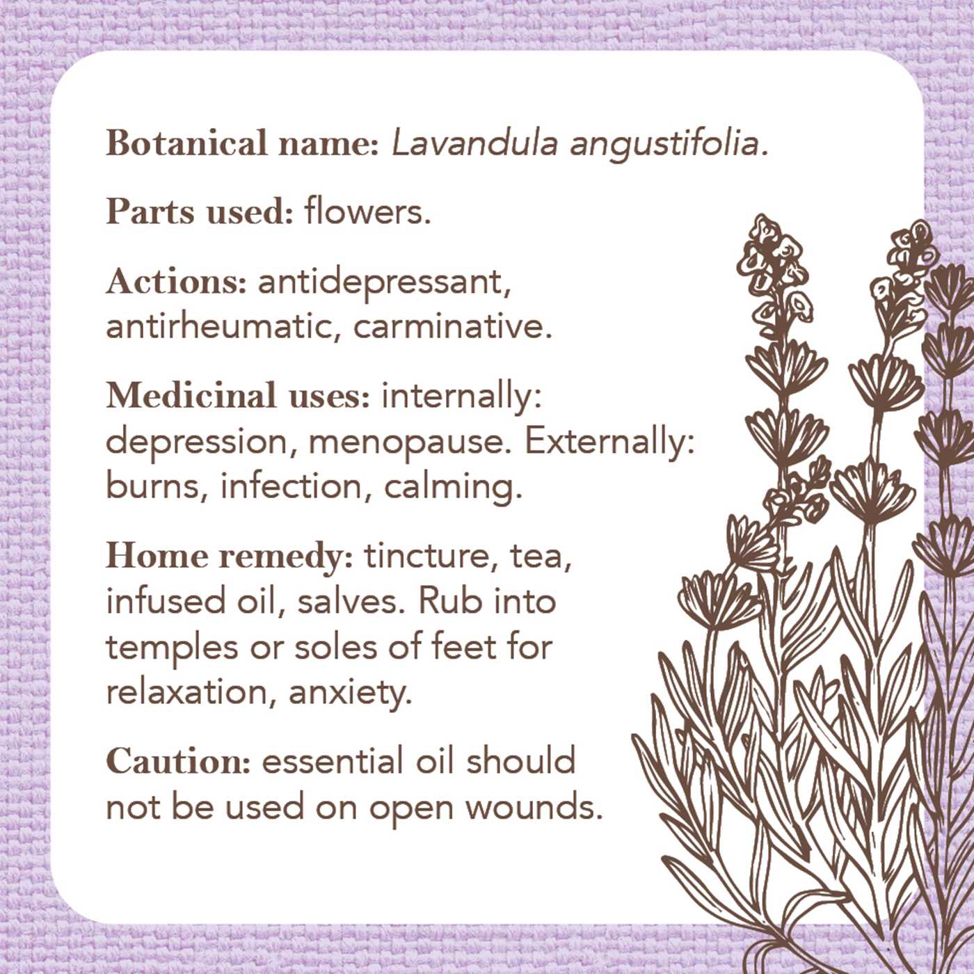 Apothecary Flashcards A Pocket Reference Explaining Herbs and Their Medicinal Uses (40 Full-Color Cards) By: Nicola McIntosh