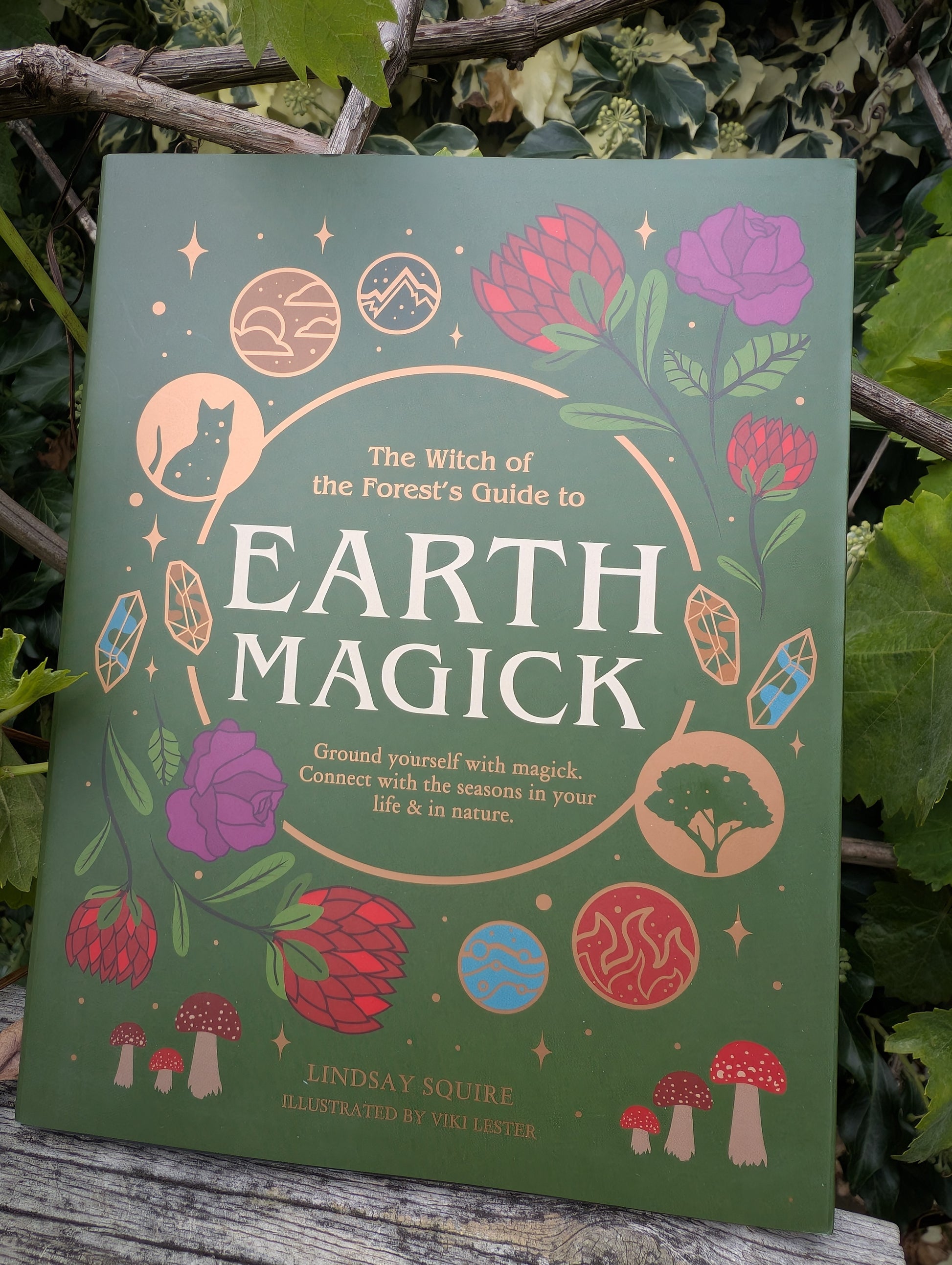 Earth Magic book