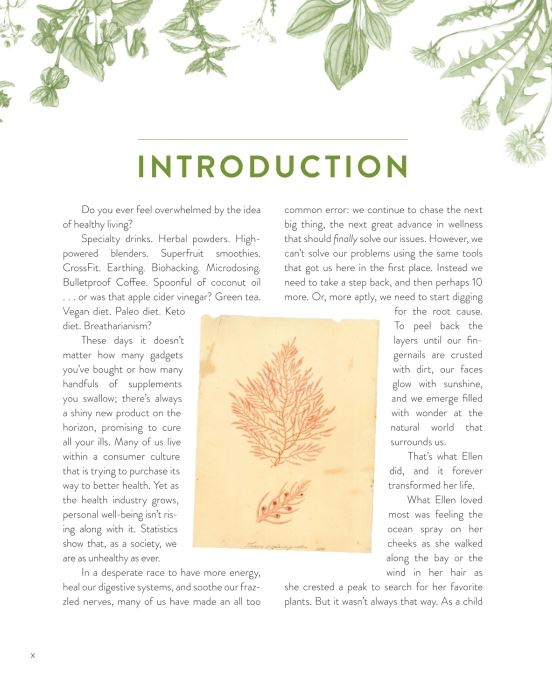 Wild remedies - How to Forage Healing Foods and Craft Your Own Herbal Medicine By: Rosalee de la Foret, Emily Han