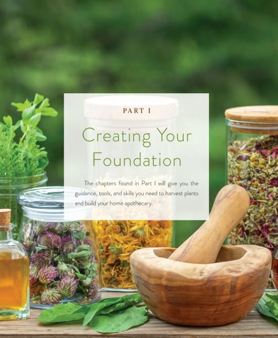 Wild remedies - How to Forage Healing Foods and Craft Your Own Herbal Medicine By: Rosalee de la Foret, Emily Han