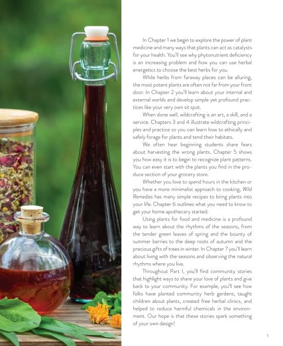 Wild remedies - How to Forage Healing Foods and Craft Your Own Herbal Medicine By: Rosalee de la Foret, Emily Han